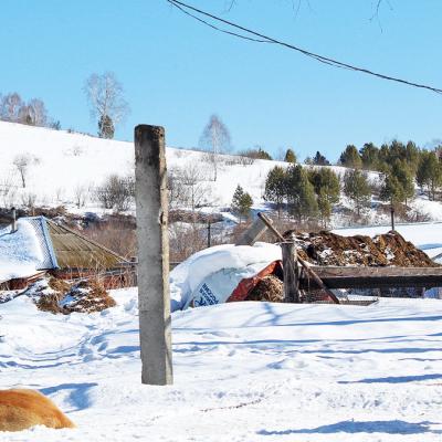 Malaa Derevna Morkovkino 25